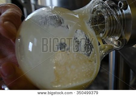 The Sampling Of Beer From A Barrel In A Brewery.