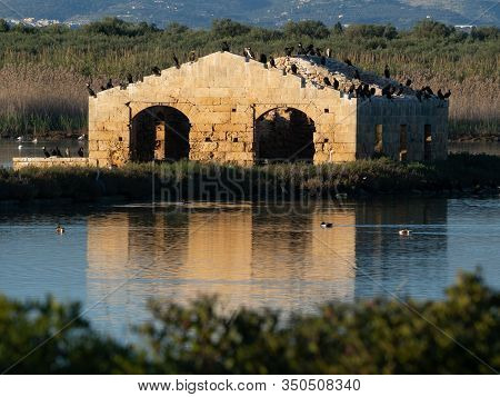 A Ruined Building Reflecting Into The Water With Birds On Top Of It