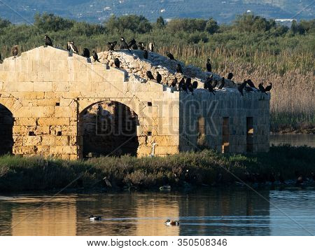 A Ruined Building Reflecting Into The Water With Birds On Top Of It