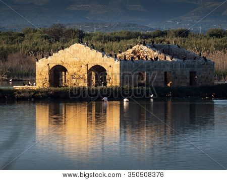 A Ruined Building Reflecting Into The Water With Birds On Top Of It