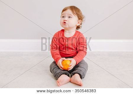 Cute Adorable Caucasian Baby Boy Eating Citrus Fruit. Finny Child Eating Healthy Organic Snack. Soli
