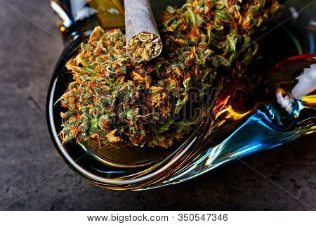 Macro Close Up Of Cannabis - Marijuana Bud - Nug On Big Green Typical Leaf.