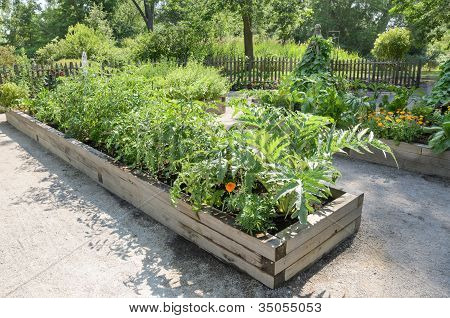 Gemeinschaftsgarten