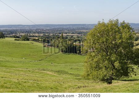 Berkeley Vale & Standish Viewed From Standish Wood, Gloucestershire, Uk