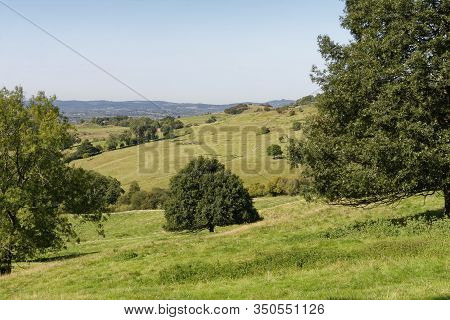 Haresfield Beacon Viewed From Standish Wood, Gloucestershire, Uk