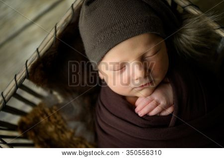 Newborn Baby Stand In A Basket