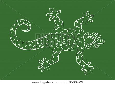 Beautiful Hand Drawn Linear Illustration With White Gecko Silhouette On The Green Background
