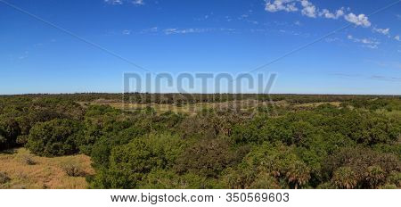 Aerial View Of Forest At Myakka State Park