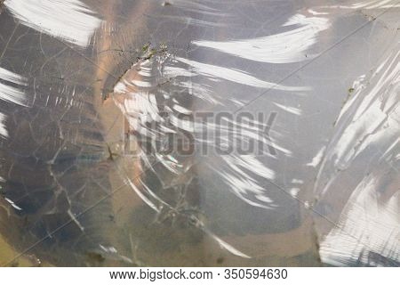 Opalite Mineral Texture As Very Nice Background