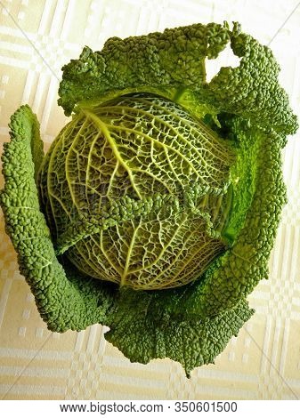 A Splendid Savoy Cabbage Photographed On A Banquet Of A Local Market