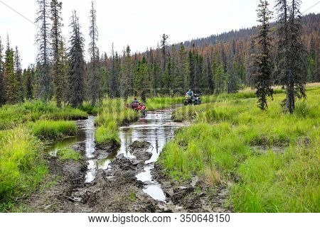 Riding Quad Bikes Off Road In The Wilderness  Of Alaska Is A New Very Popular Leisure Activity For A