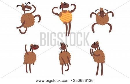 Funny Sheep Collection, Humanised Farm Animal Cartoon Character In Various Poses Vector Illustration