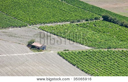 Vigneti righe, veduta aerea del rifugio rurale. Provenza, Francia