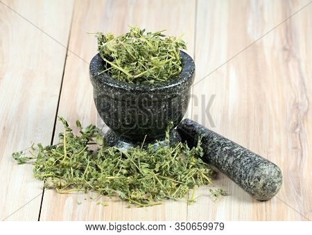 Dried Tribulus Terrestris In The Mortar.  Curative Herb Tribulus Terrestris And  Its Seeds Called De