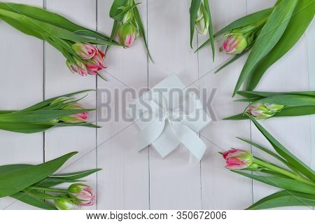 Valentines Day Romantic Background With White Gift Box And Pinktulips. Greeting Card With Pink Tulip
