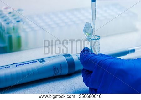Clinical Laboratory In Process Of Chemical Analysis. Collection Of Probe Using Automatic Pipette Epp
