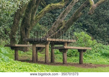 Benches And Big Wooden Table For Feast Surrounded By Young Green Grass In The Barbecue Area In The U