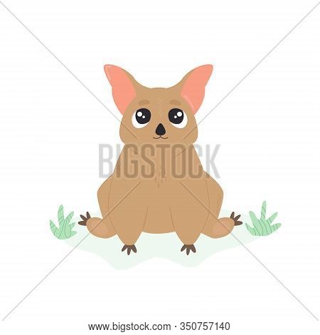 A Cute Australian Possum. Animal Character Design.