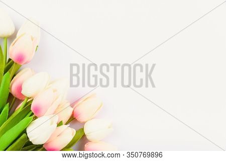 Happy Women's Day, Mother's Day And Valentine's Day Concept. Top View Flat Lay Tulip Flower