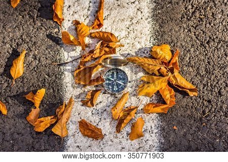 Conceptual Autumn Landscape With A Metallic Compass And Fallen Leaves, Sfanta Ana, Romania