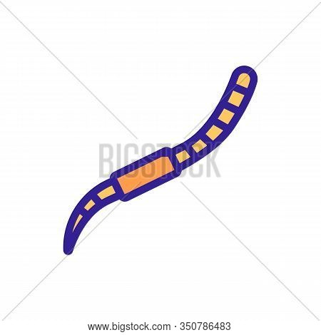 Worm Icon Vector. Thin Line Sign. Isolated Contour Symbol Illustration