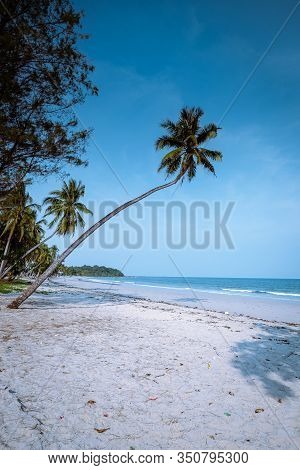 Wua Laen Beach Chumphon Area Thailand, Palm Tree Hanging Over The Beach With Couple On Vacation In T