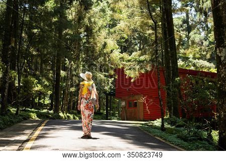 traveling Asian woman hiking in the forest at Xitou, Nantou, Taiwan