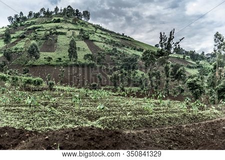 Mountainside in Nord Kivu, DRC