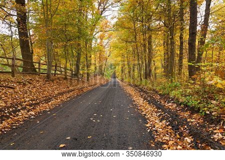 Haunted Cooper Road In Middletown