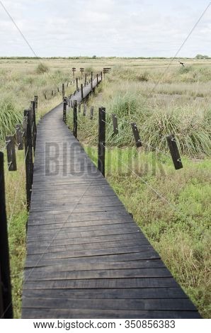 Elevated Wooden Path Over A Grassland, In San Clemente Del Tuyu, Buenos Aires, Argentina