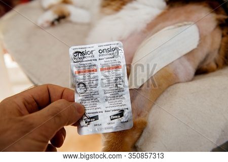 Paris, France - Jul 20, 2019: Overhead View Of Cat After Surgery Operation Vet Cabinet Visit Rehabil
