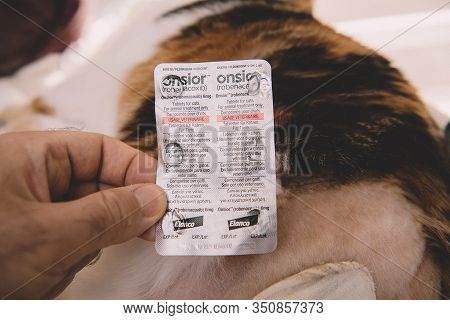 Paris, France - Jul 20, 2019: Overhead View Of Cat After Surgery Operation Vet Cabinet Visit Rehabil