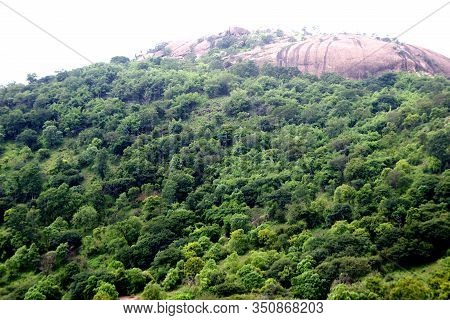 Rocky Hill Wrapped With Green Trees At Ramagiri Near Ramanagara In Karnataka, India, Asia