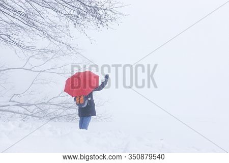 A person waving into foggy scene - Abant, Bolu - Turkey