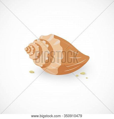 Vector Cartoon Icon Of Sea Shell And Stones Isolated On White Background. Marine Sea Mollusc Illustr
