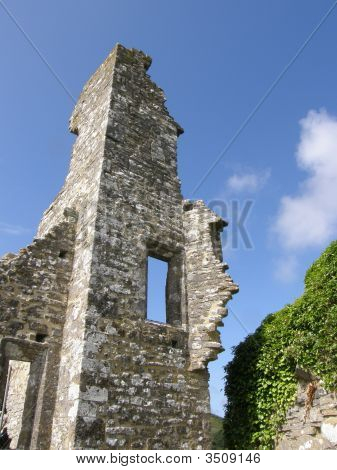 Corfe Castle ingewanden