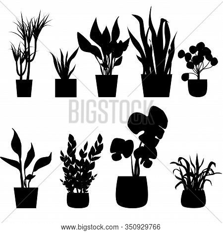 Set Of Silhouettes House Plants In Pots. Vector Illustration