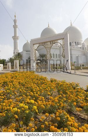 Abu Dhabi, Uae - December 28 2017: Yellow Flowers At The Entrance Of The Mosque