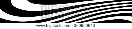 Abstract Black And White Curved Lines Vector. Wide Background Dynamic Wavy Distorted Lines Template