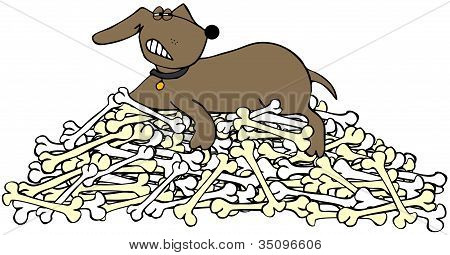 Hund einen Haufen von Knochen zu schÃ¼tzen