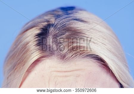 Close Up Grown Natural Roots Of Colored Blonde Hair. Shiny And Healthy Beautiful Hair. Healthy And W