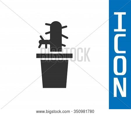 Grey Cactus Peyote In Pot Icon Isolated On White Background. Plant Growing In A Pot. Potted Plant Si