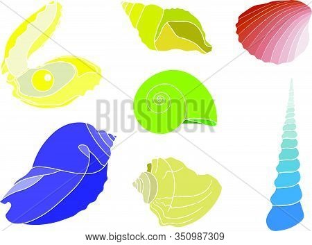 Set Of Beautiful Seashells In Bright Colors