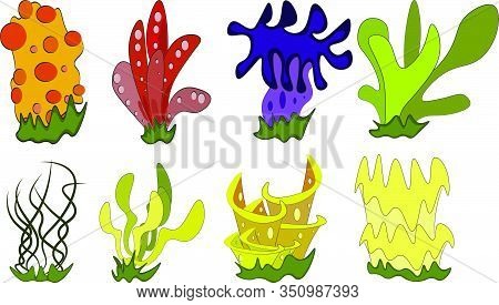 Beautiful Sea Corals In Bright Funny Cartoon Colors