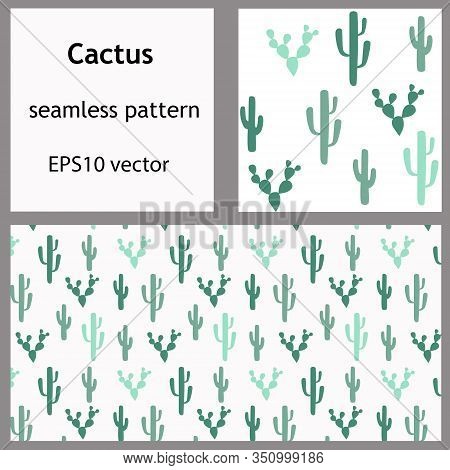 Green Cacti Seamless Pattern And Rectangular Backdrop. Diffirent Shapes Hand-drawn Succulents  For B