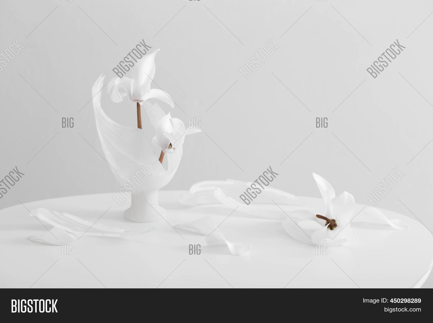 Broken Glass Vase Image & Photo (Free Trial) Bigstock
