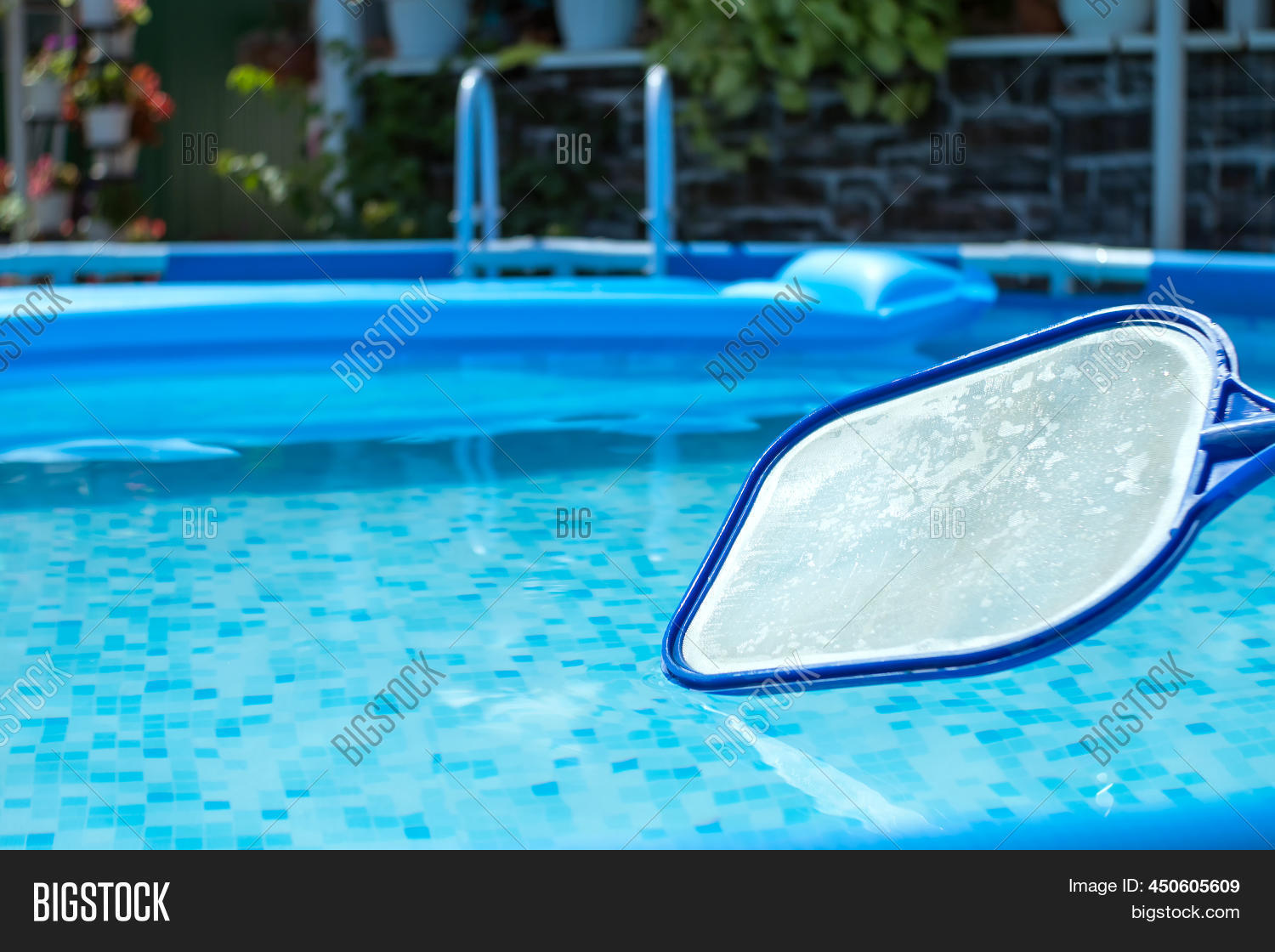 Pool Skimmer Net Image & Photo (Free Trial) Bigstock