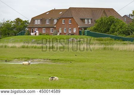 Scenery With Big House At Pellworm, A Island In North Frisia, Germany