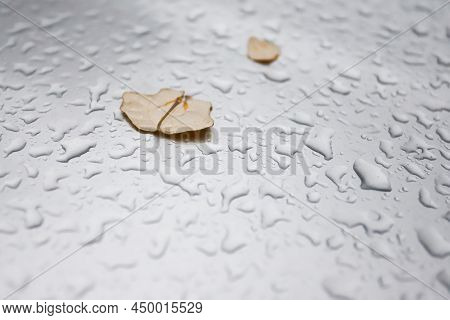 Leaves On The Hood Of A Car In Autumn In Raindrops
