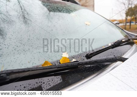 Leaves On The Hood Of A Car In Autumn In Raindrops